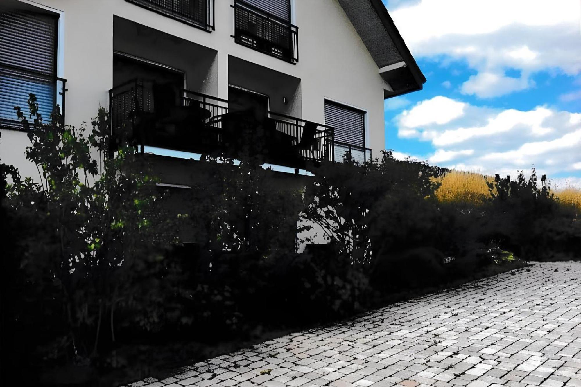 Ferienwohnung Blanco In Willingen فيلنغن المظهر الخارجي الصورة
